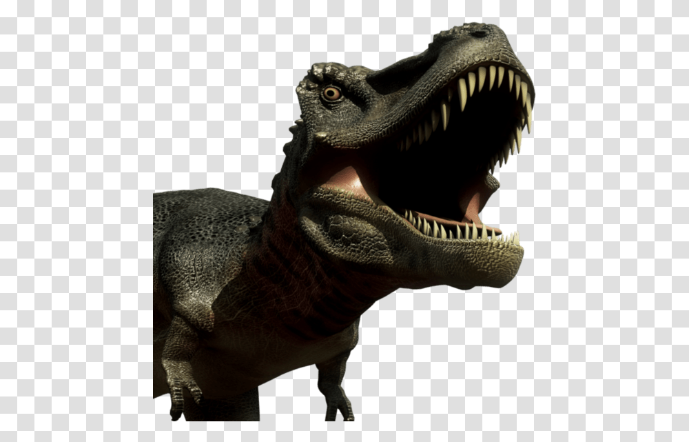 Dinosaurs Fathead Do T Rexs Have Lips, T-Rex, Reptile, Animal Transparent Png