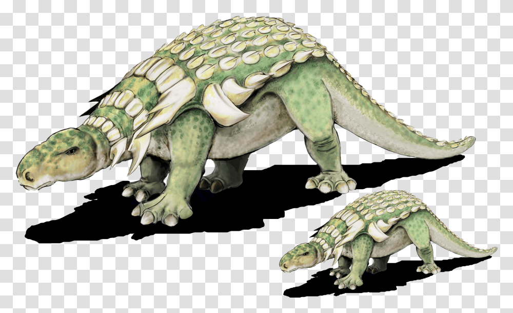 Dinosaurs From The Carboniferous Period, Reptile, Animal, Lizard, Turtle Transparent Png