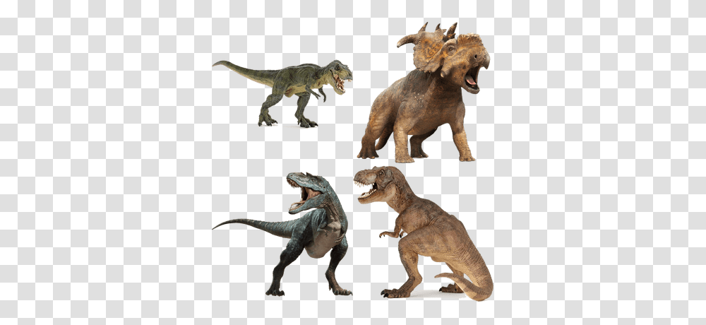 Dinosaurs Images Colour Is At Rex, T-Rex, Reptile, Animal, Dog Transparent Png