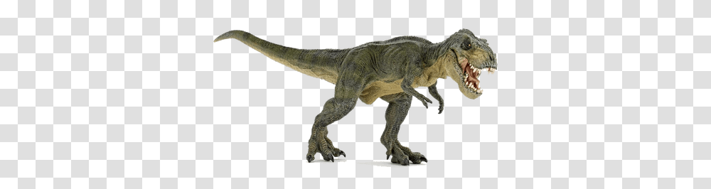 Dinosaurs Images Green Tyrannosaurus Rex Toy, Reptile, Animal, T-Rex Transparent Png