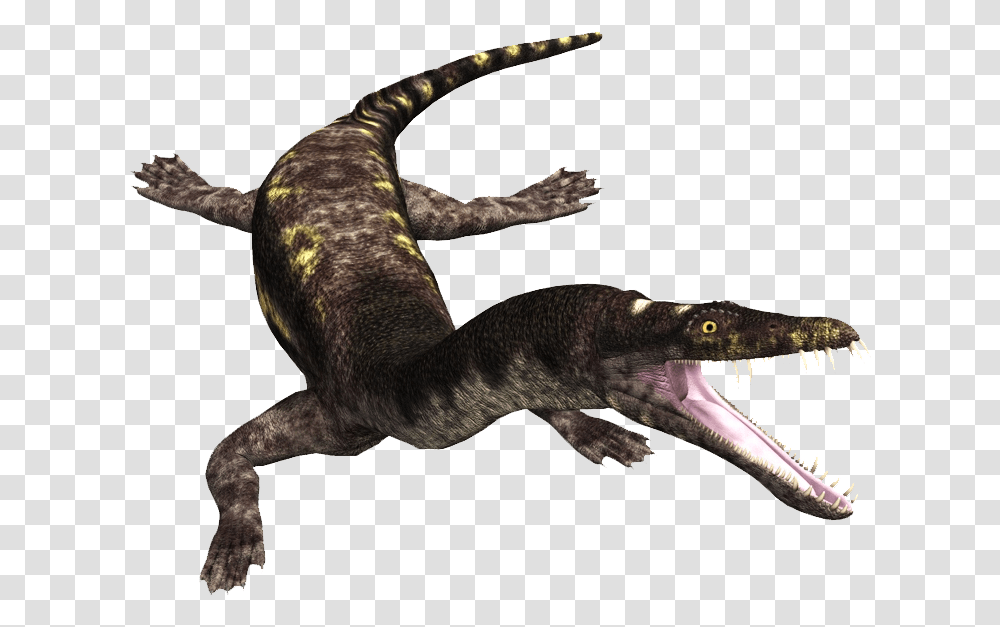 Dinosaurs Nothosaurus, Animal, Bird, Reptile, Lizard Transparent Png