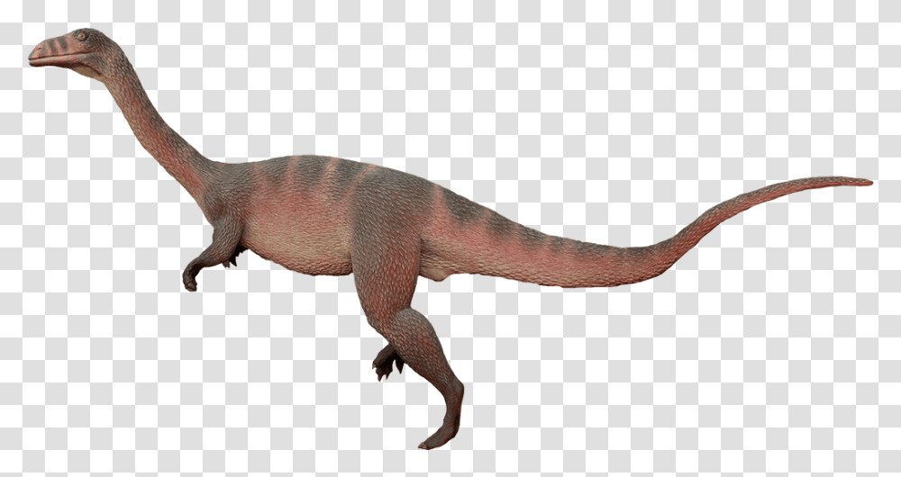 Dinosaurs Of Triassic Period Sellosaurus, Reptile, Animal, T-Rex, Lizard Transparent Png