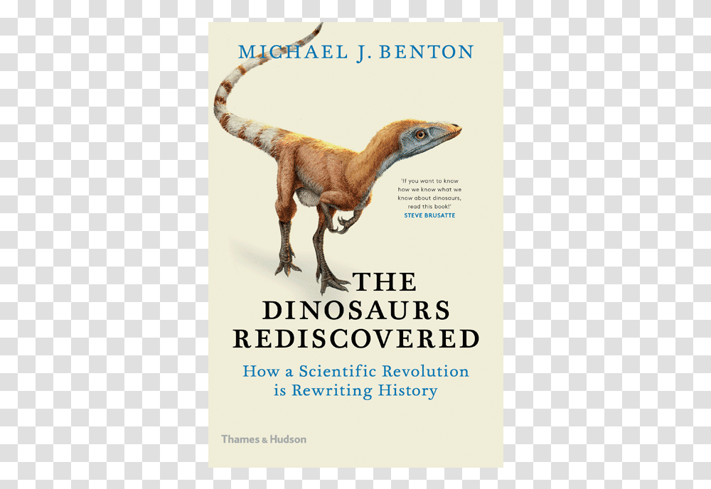 Dinosaurs Rediscovered, Reptile, Animal, T-Rex, Bird Transparent Png