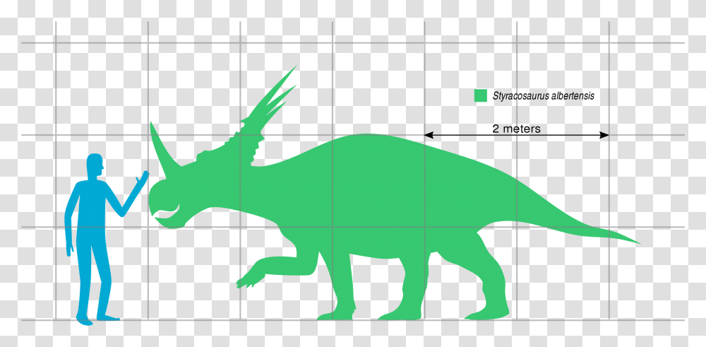 Dinosaurs Svg Triceratops Styracosaurus Compared To Human, Person, Animal, Mammal, Wildlife Transparent Png