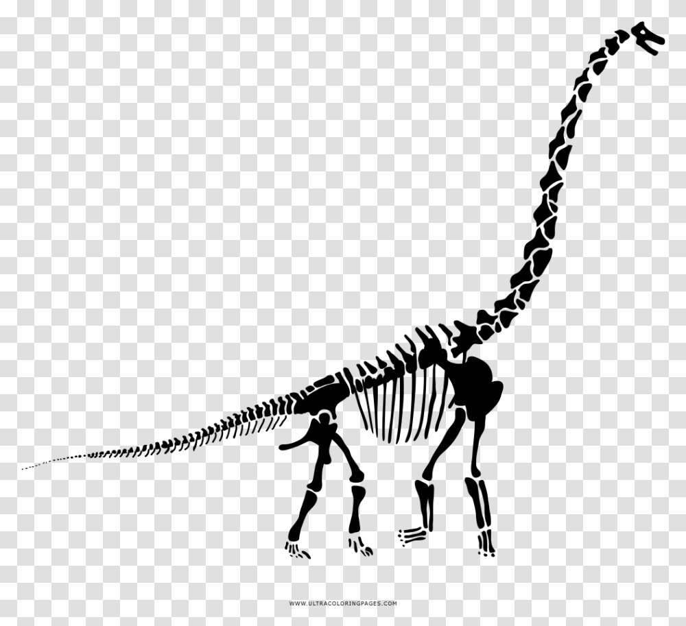 Diplodocus Skeleton Coloring, Gray, World Of Warcraft Transparent Png