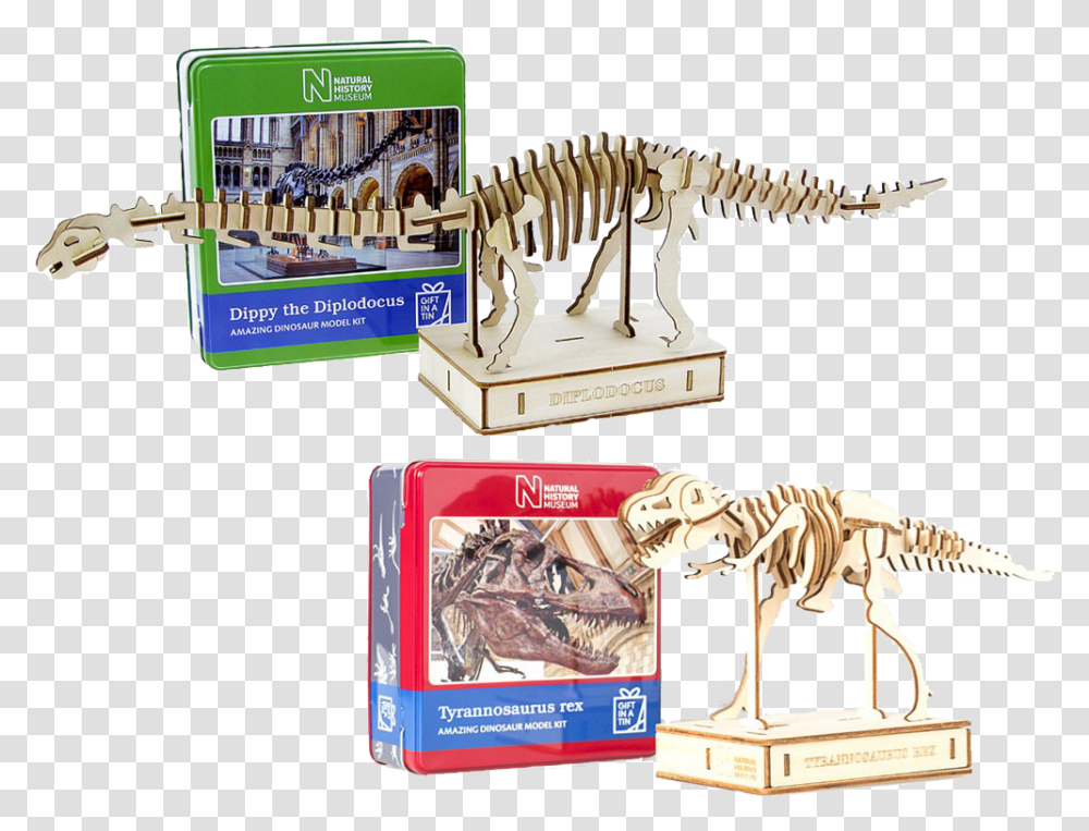 Dippy Toy, Skeleton, Dinosaur, Reptile, Animal Transparent Png