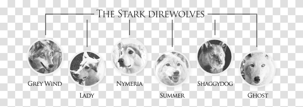 Dire Wolves Were Real And Much Scarier Game Of Thrones Wolves Names, Mammal, Animal, X-Ray, Canine Transparent Png