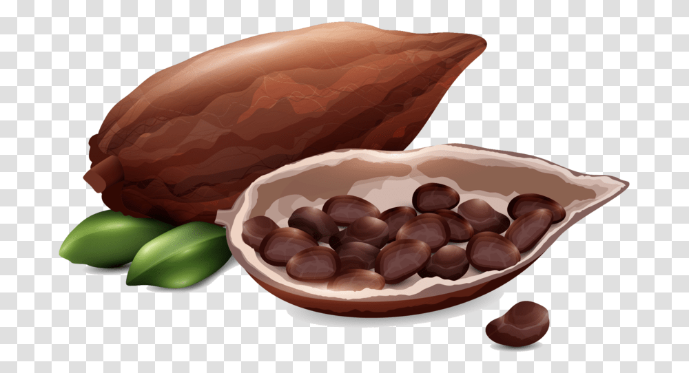 Direct Traded Raw Cacao, Plant, Vegetable, Food, Nut Transparent Png