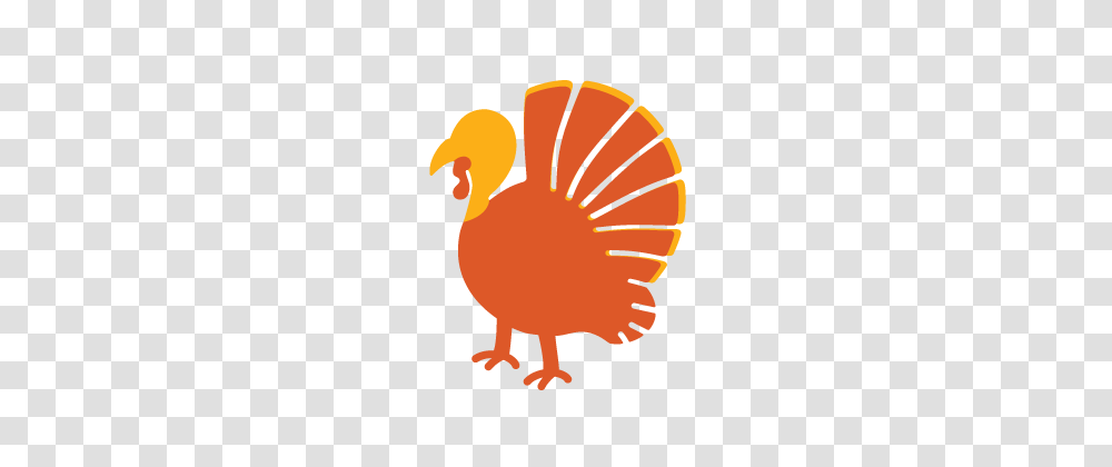 Directory Wp, Bird, Animal, Fowl, Turkey Bird Transparent Png