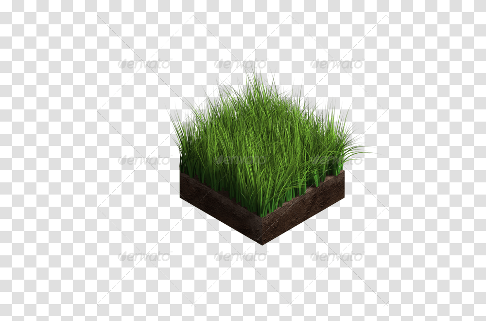 Dirt 05 Grass Ground For Design, Plant, Food, Seasoning, Dill Transparent Png