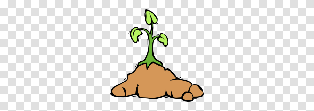 Dirt Cliparts, Plant, Tree, Flower, Outdoors Transparent Png
