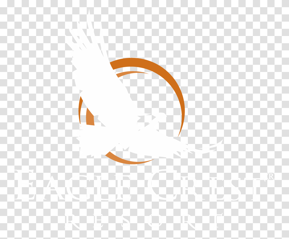 Disappearance Of Winter's Daughter, Eagle, Bird, Animal, Poster Transparent Png