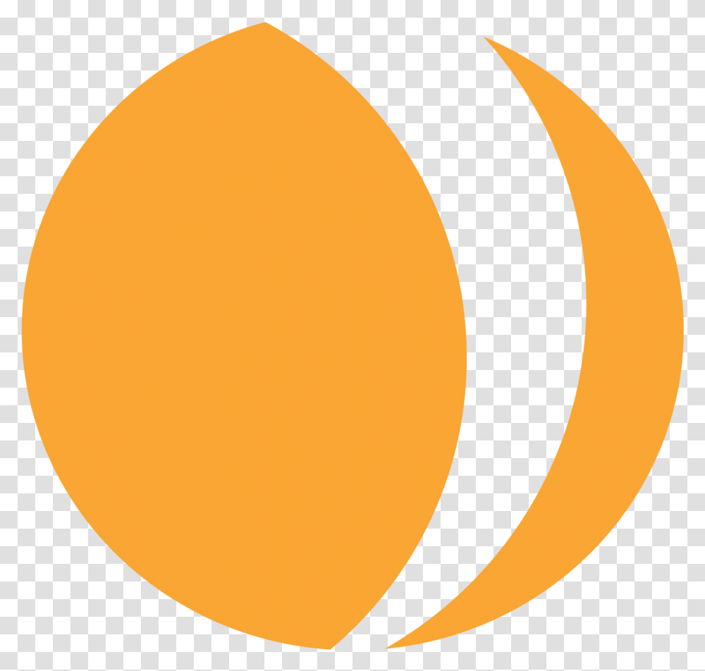 Disclaimer The Apricot Principle Dot, Moon, Outer Space, Night, Astronomy Transparent Png