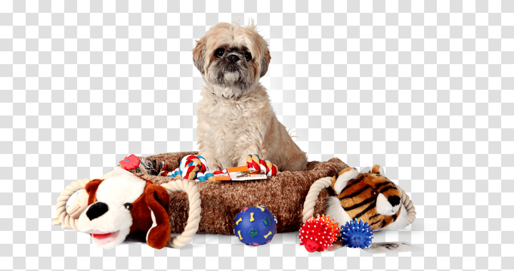 Discount Pet Supplies Pets Supplies, Dog, Canine, Animal, Mammal Transparent Png