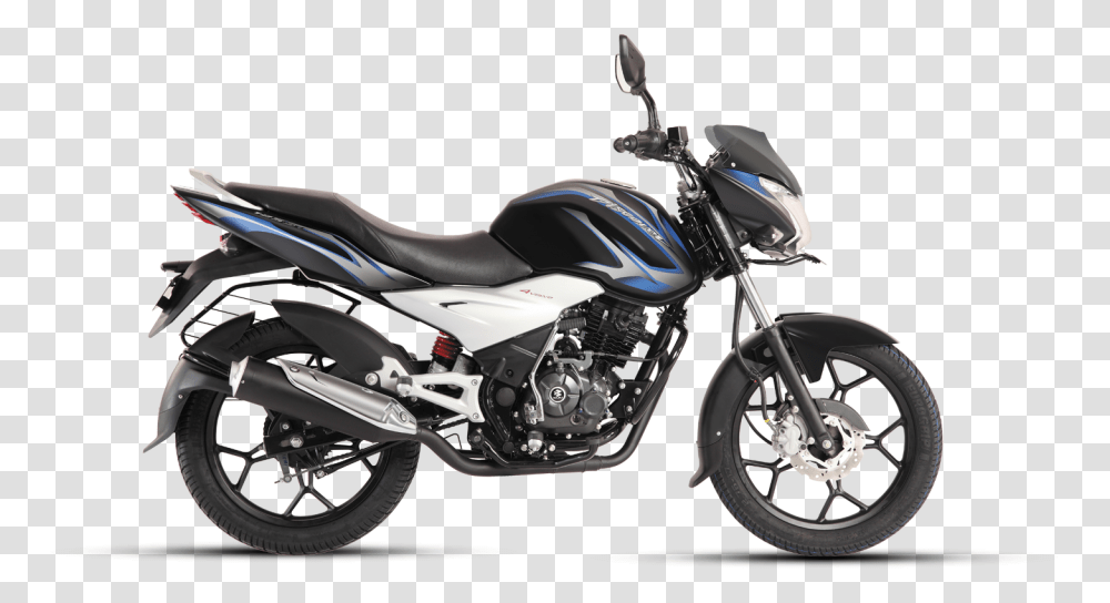 Discover 125 St, Motorcycle, Vehicle, Transportation, Machine Transparent Png