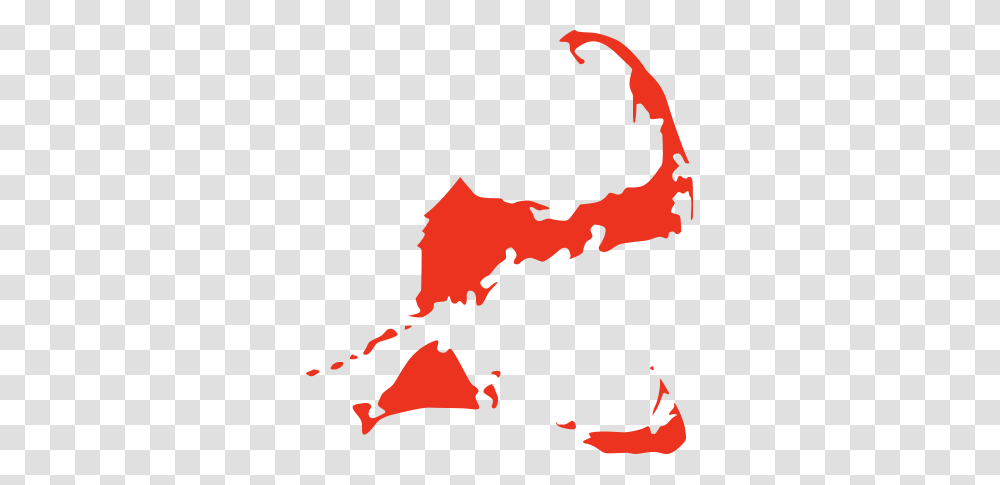 Discover Massachusetts Regions Of Massachusetts, Logo, Trademark, Plant Transparent Png