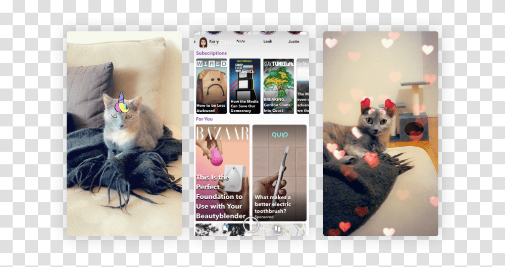 Discover Tile Snapchat, Mobile Phone, Electronics, Cat, Pet Transparent Png