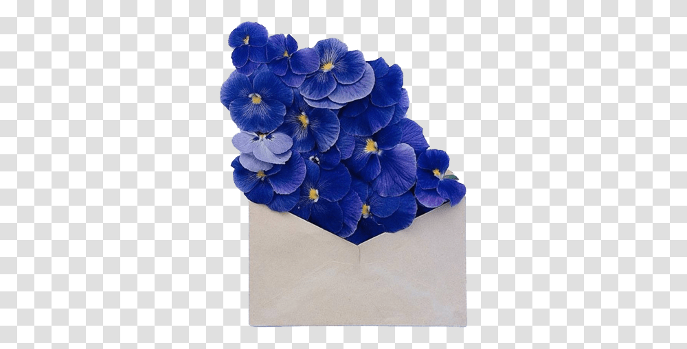 Discovered By Frida Flores Dark Blue And White Aesthetic, Plant, Geranium, Flower, Blossom Transparent Png