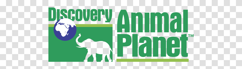 Discovery Animal P 2 Logo Discovery Channel, Text, Horse, Mammal, Alphabet Transparent Png