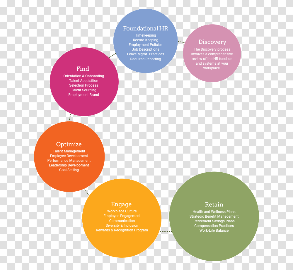 Discovery Process Circle, Label, Word, Diagram Transparent Png