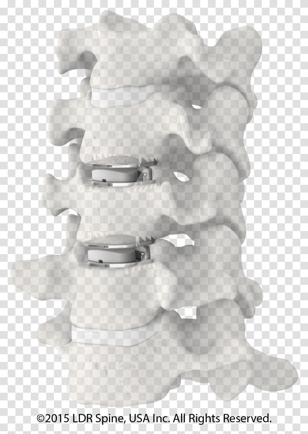 Discs In Spine Model Mobi C Replacement Disc, Figurine, Snowman, Outdoors, Nature Transparent Png