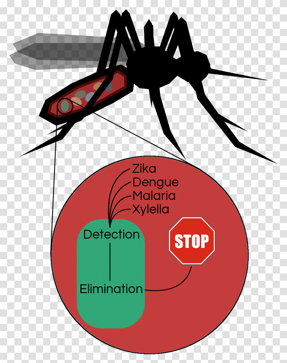Disease Clipart Dengue Fever Insect, Vegetation, Plant, Plot, Diagram Transparent Png
