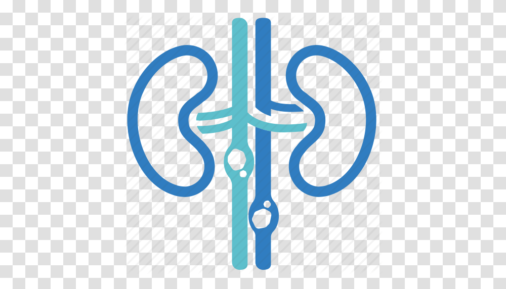 Disease Gravel Kidney Kidney Calculi Kidney Stone Renal Stone, Weapon, Weaponry, Trident Transparent Png