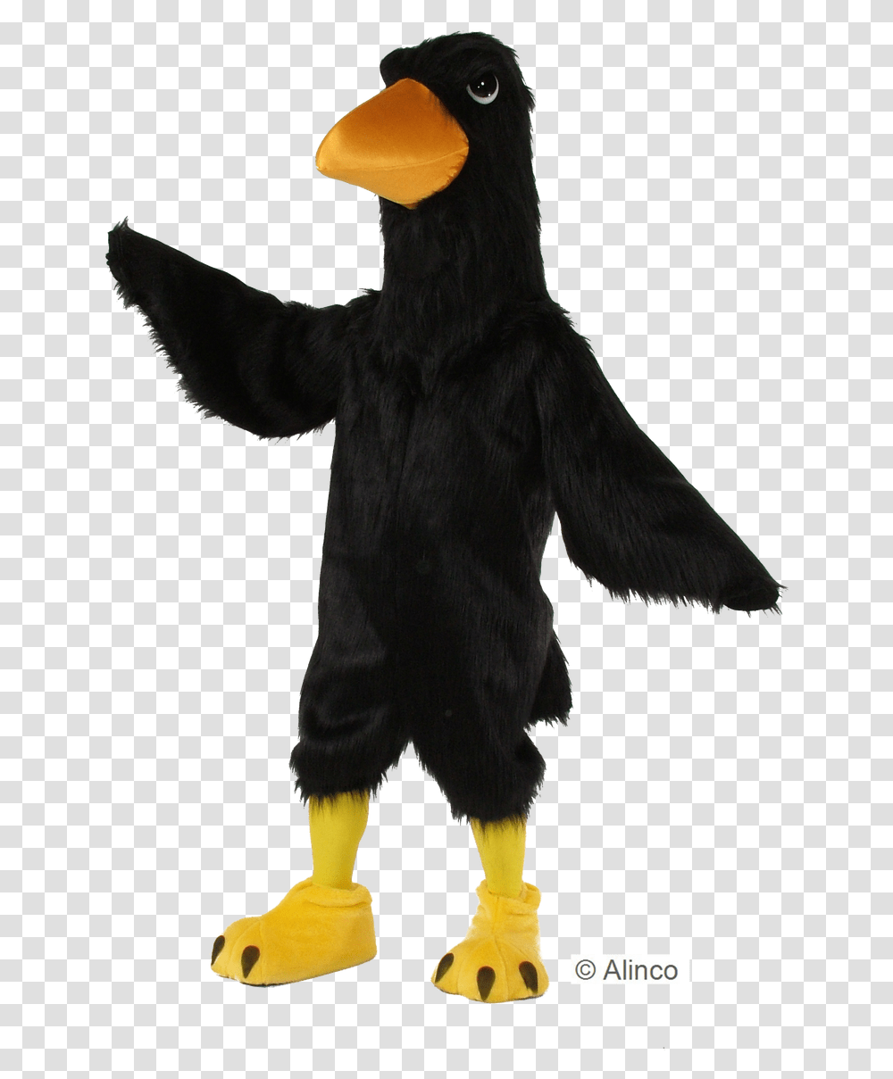 Disfraz De Pajaro Negro, Animal, Mammal, Bird, Silhouette Transparent Png