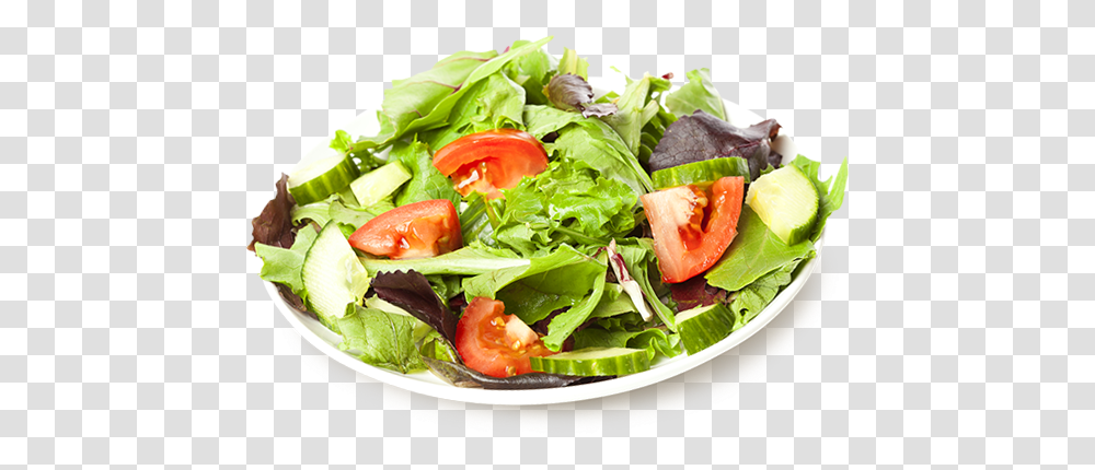 Dishfoodgarden Saladleaf Vegetablespinach Saladproducecaesar Garden Salad, Plant, Lettuce, Meal, Lunch Transparent Png