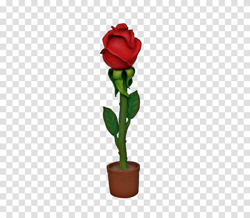 Disney Characters Props, Plant, Flower, Blossom, Rose Transparent Png
