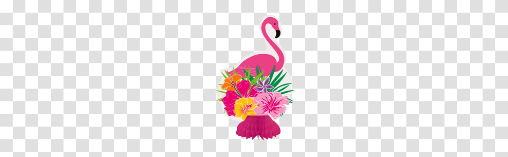 Disney Moana Party Supplies New Zealand Just Party Just Party, Plant, Flower, Blossom Transparent Png