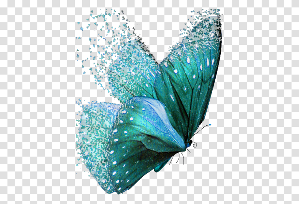 Dispersion Butterflies Teal Teal Colored Butterflies, Leaf, Plant, Petal, Flower Transparent Png