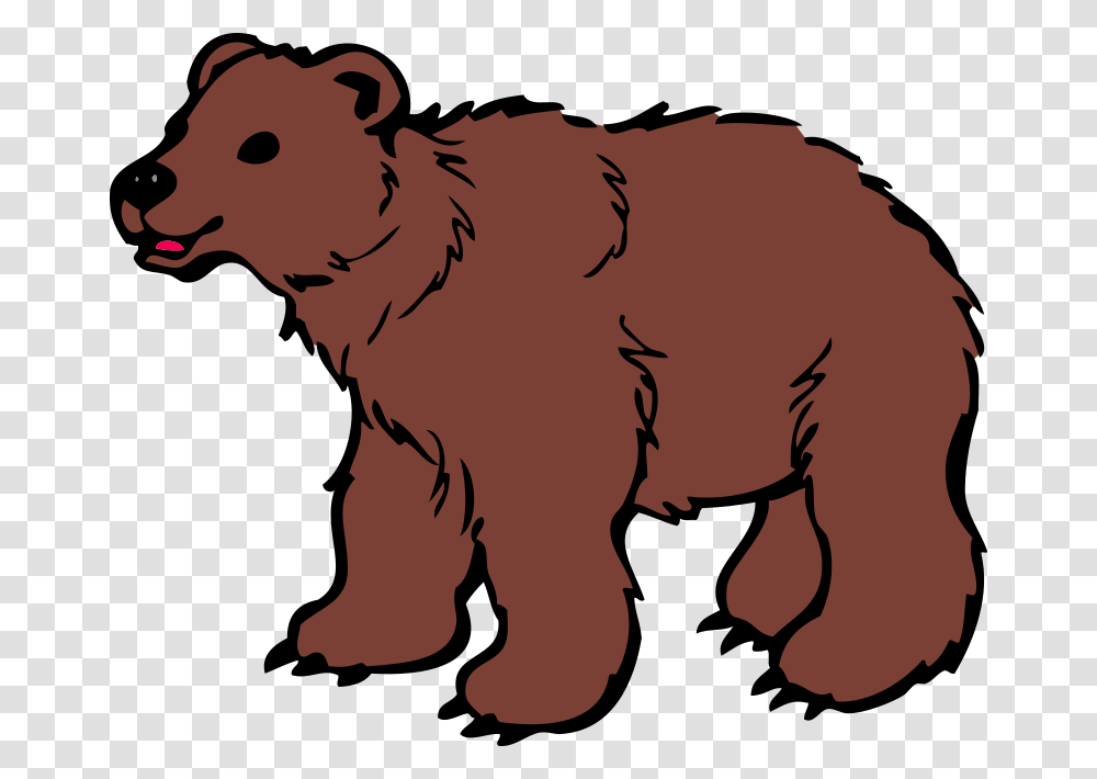 Displaying Brown Bear Clipart Clipartmonk, Animal, Mammal, Tree, Plant Transparent Png