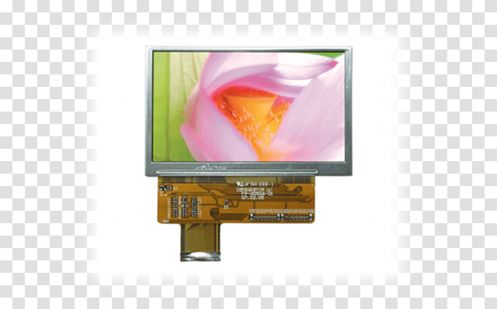 Displayu Led Backlit Lcd Display, Monitor, Screen, Electronics, LCD Screen Transparent Png