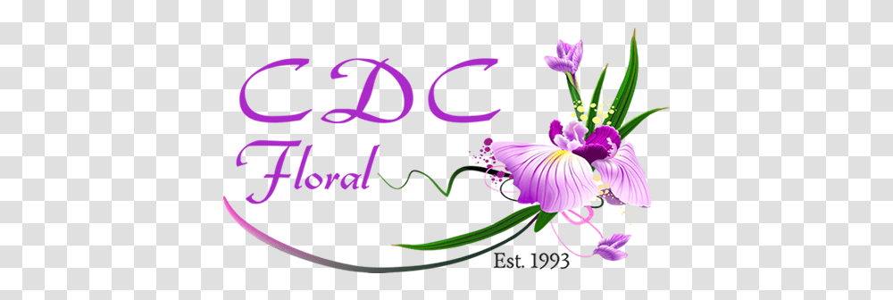 Distinctive Creations Inc Orlando Wedding Flower Wedding Violet, Graphics, Art, Floral Design, Pattern Transparent Png