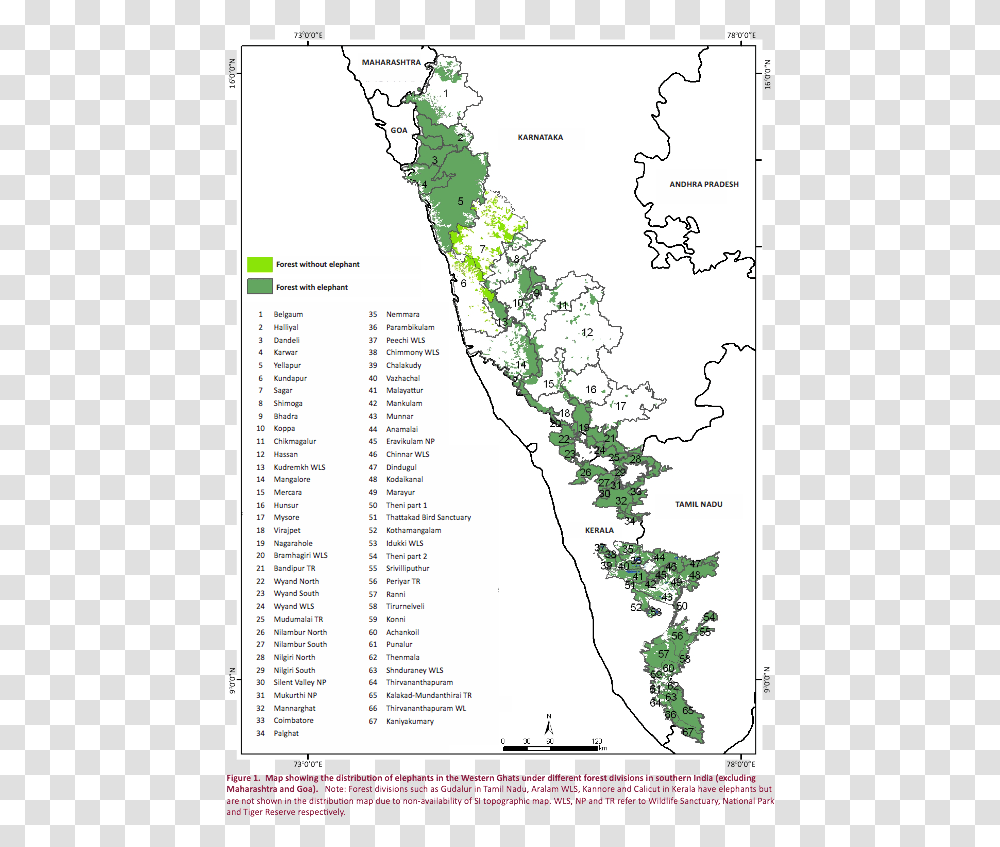Distribution Of Western Ghats In Kerala, Vegetation, Plant, Plot, Rainforest Transparent Png