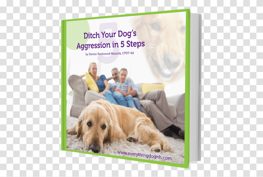 Ditch Your Dog S Aggression Gassy Dog, Pet, Canine, Animal, Mammal Transparent Png