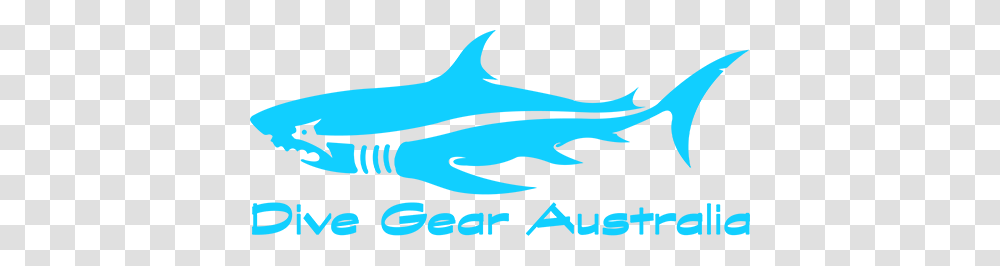 Dive Gear Snorkelling Gear And Spear Fishing Gear, Word, Texture Transparent Png