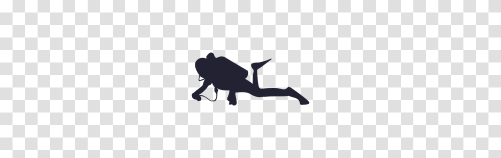 Dive Maui Logo, Silhouette, Animal, Photography, Duel Transparent Png