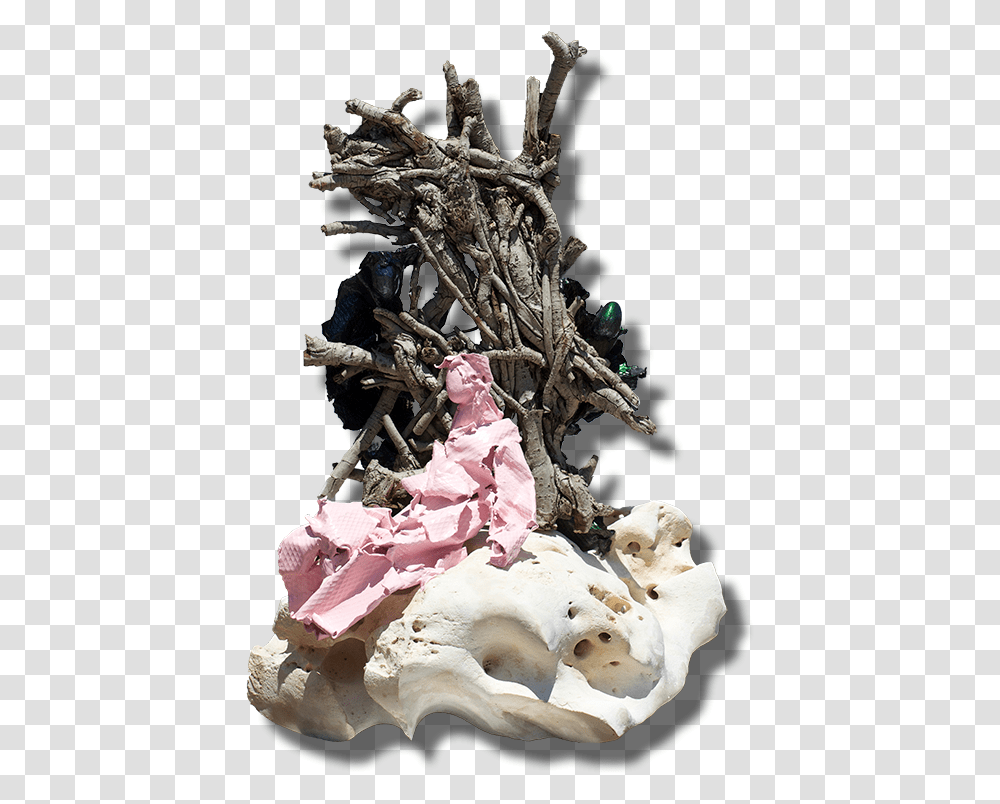 Divertimenti Statue, Wood, Driftwood, Figurine Transparent Png