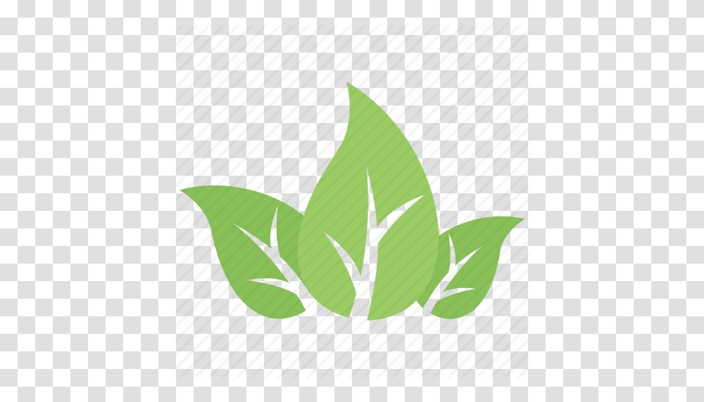 Divided Leaf Green Leaves Leaf Logo Three Leaves Tripartite, Plant, Flower, Aloe, Petal Transparent Png