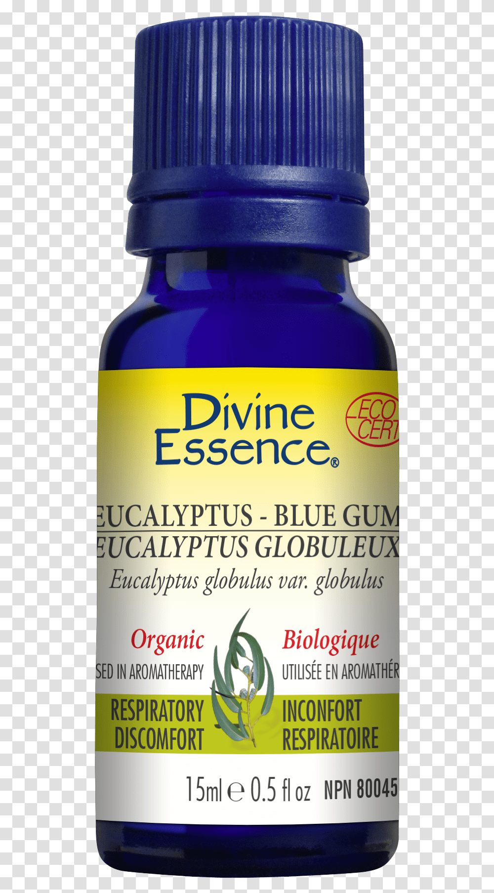 Divine Essence Eucalyptus Radiata, Bottle, Beer, Alcohol, Beverage Transparent Png