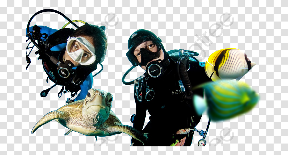 Diving People Seabed Character Diving Mask, Water, Person, Outdoors, Turtle Transparent Png