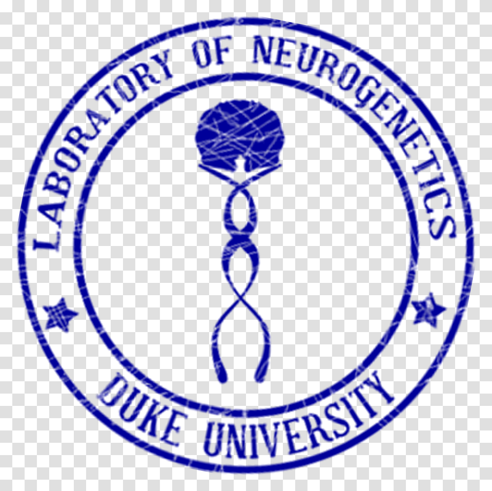 Division Of City Schools Valenzuela Logo Neurogenetics, Trademark, Label Transparent Png