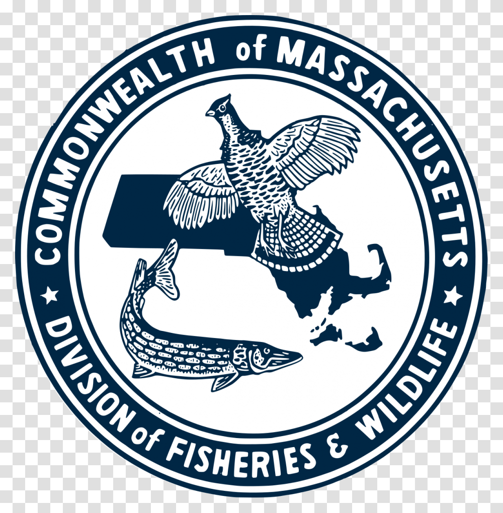 Division Of Fisheries And Wildlife Massachusetts Wikipedia Emblem, Logo, Trademark, Bird Transparent Png