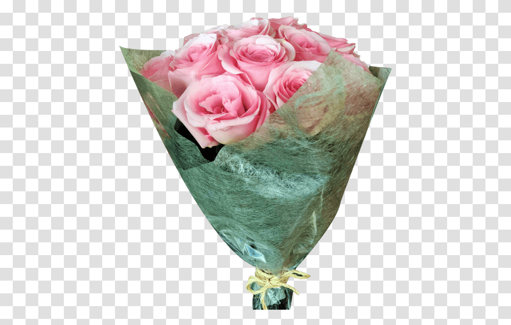 Diy 12 Light Pink Roses Bouquet Flower Arrangement Magnaflor Garden Roses, Plant, Blossom, Flower Bouquet, Bird Transparent Png