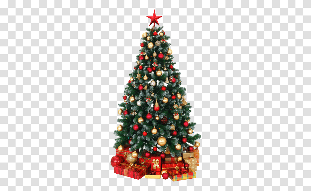 Diy Christmas Lights Planning, Christmas Tree, Ornament, Plant, Pine Transparent Png