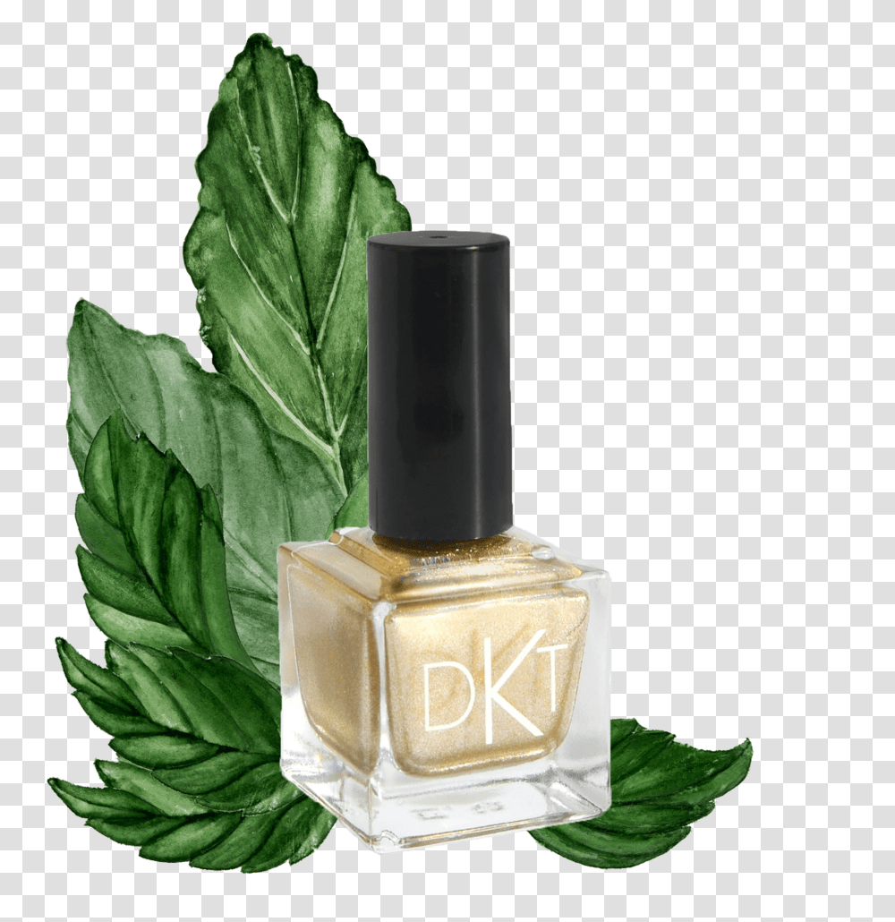 Dkt Polish Perfume, Bottle, Cosmetics, Leaf, Plant Transparent Png