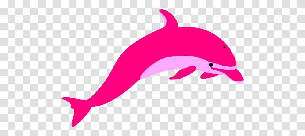 Dlp Clip Art, Sea Life, Animal, Mammal, Dolphin Transparent Png