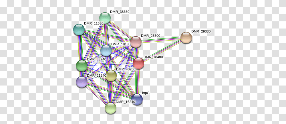 Dmr Protein Circle, Network, Balloon, Diagram, Sphere Transparent Png